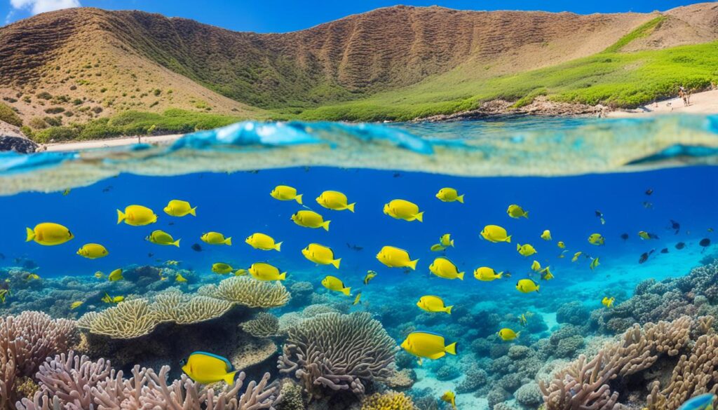 Hanauma Bay snorkeling views