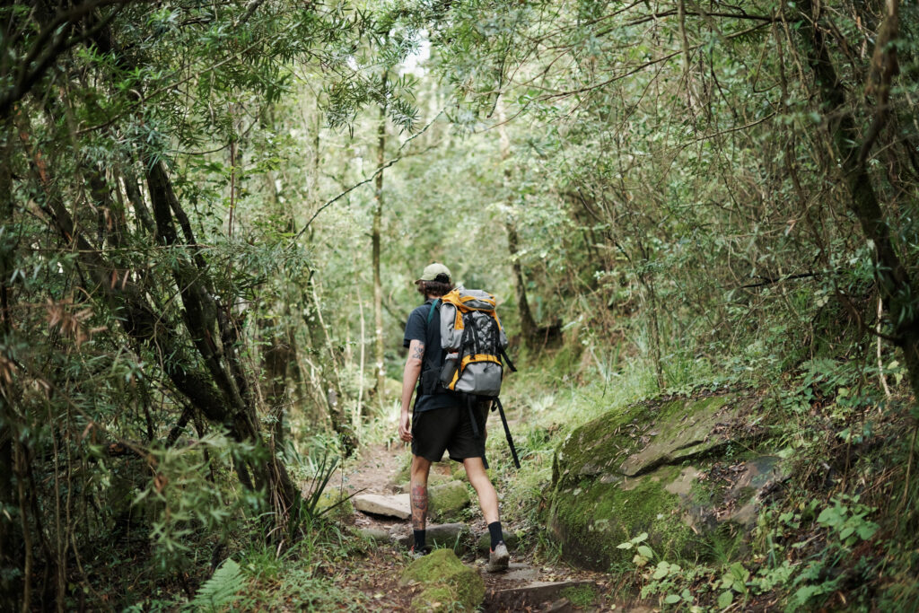 A hiker walking through a lush forest trail, perfect for exploring Hawaii and Hawaii travel on a budget